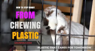 Preventing Plastic Chewing: A Bunny Owner's Guide