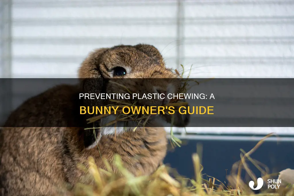 how to stop bunny from chewing plastic