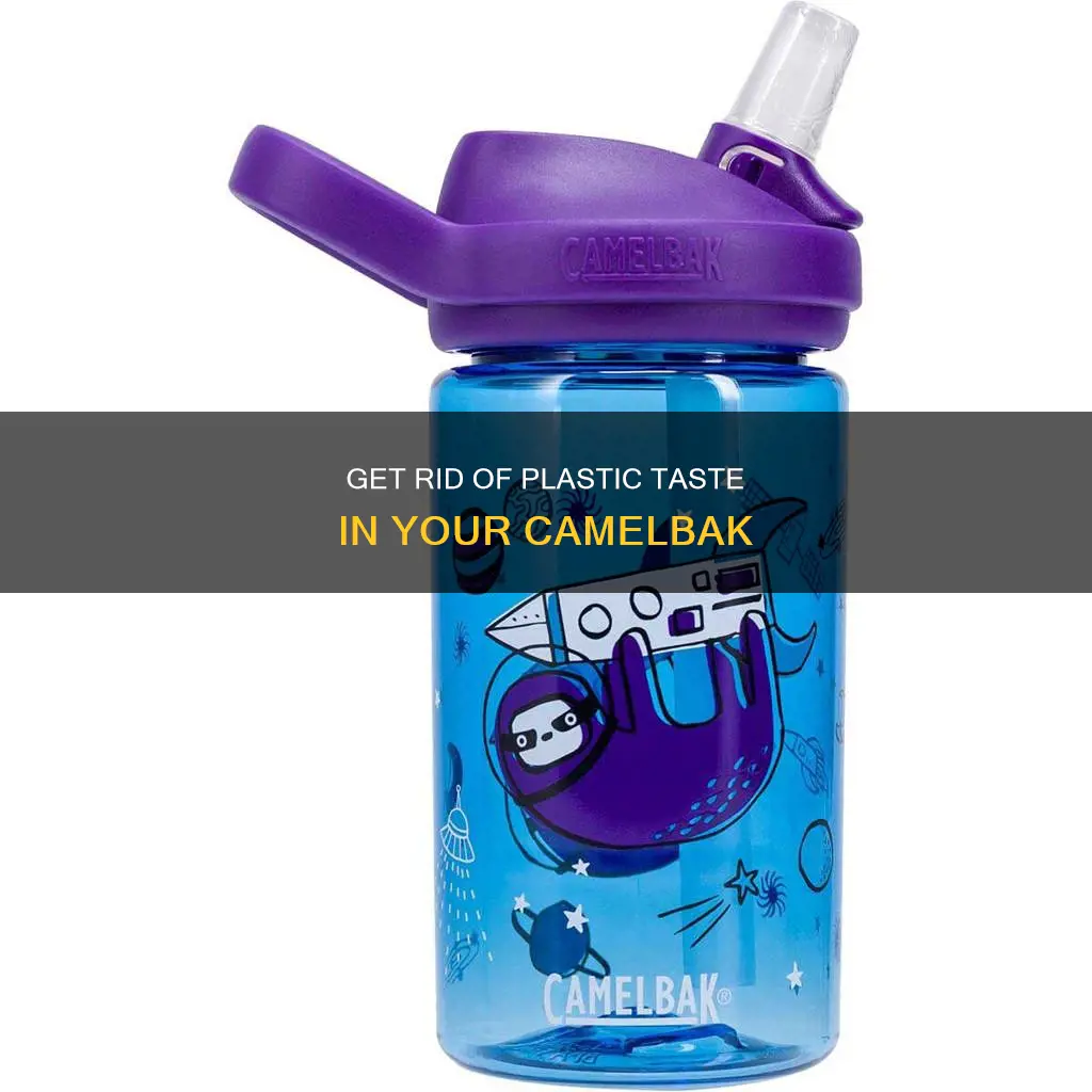 how to stop camelbak tastes like plastic