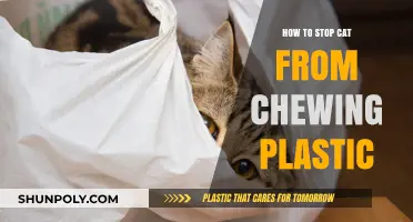 Prevent Your Cat's Plastic Chewing Habit