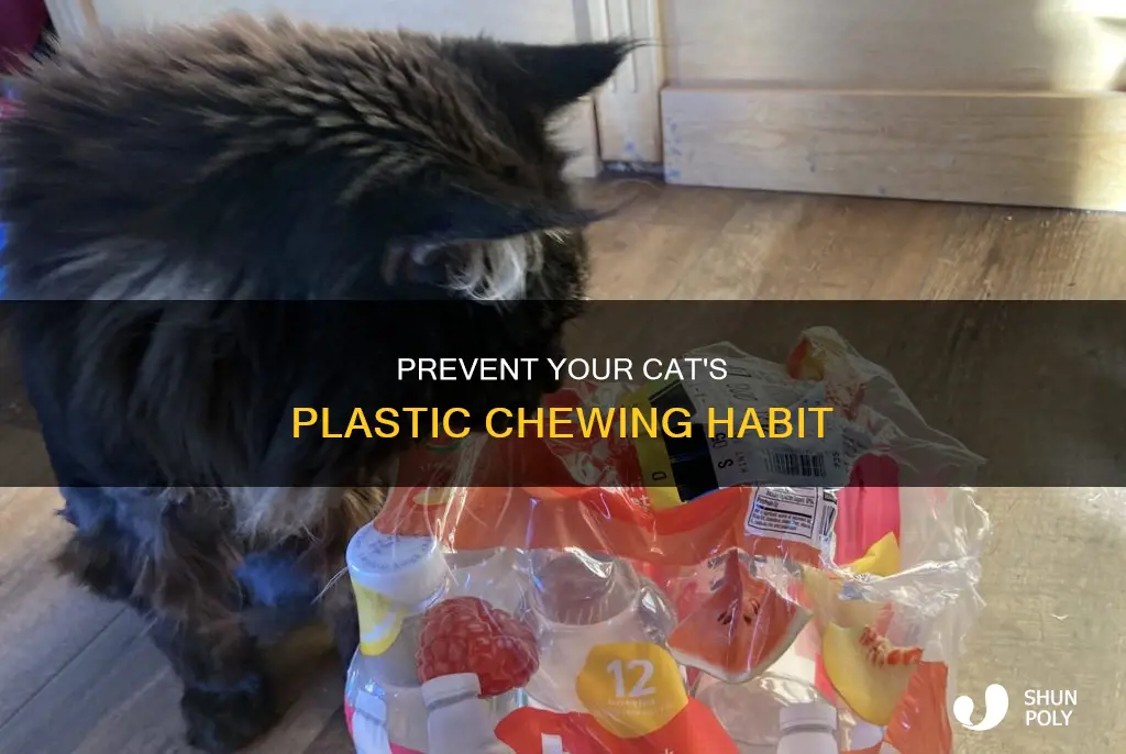 how to stop cat from chewing plastic