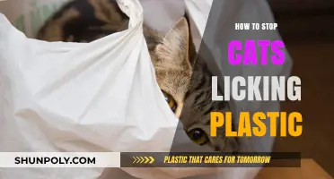 Preventing Plastic Licking: Tips for Cat Owners