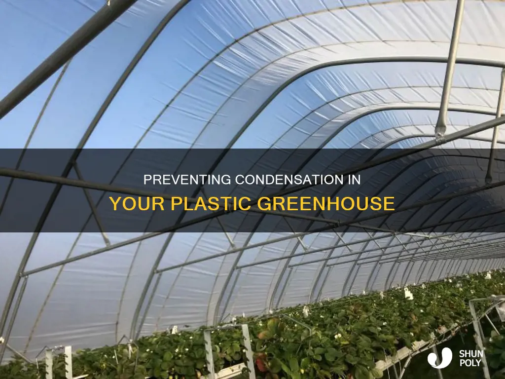 how to stop condensation in plastic greenhouse
