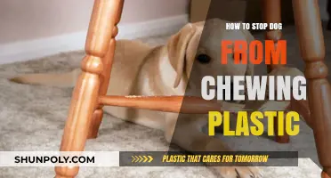 Prevent Plastic Chewing: Tips for Dog Owners
