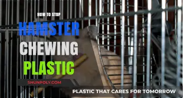 Preventing Plastic Chewing: A Hamster Owner's Guide