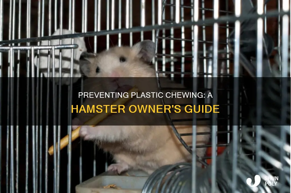 how to stop hamster chewing plastic