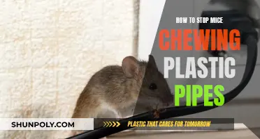 Prevent Mice from Chewing Plastic Pipes: Effective Strategies