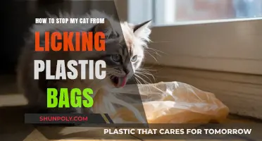Preventing Your Cat from Licking Plastic Bags: Effective Strategies and Tips
