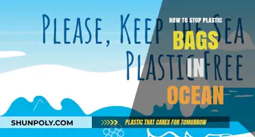 Preventing Ocean Plastic: Effective Strategies to Stop Plastic Bags in Seas