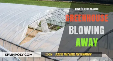 Securing Your Plastic Greenhouse: Preventing Blow Away