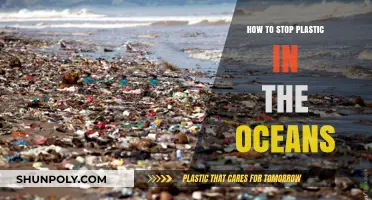 Protecting Our Oceans: Stopping the Plastic Tide