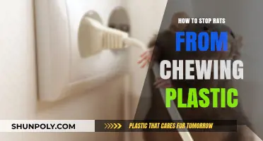 Preventing Rats from Chewing Plastic: Effective Strategies