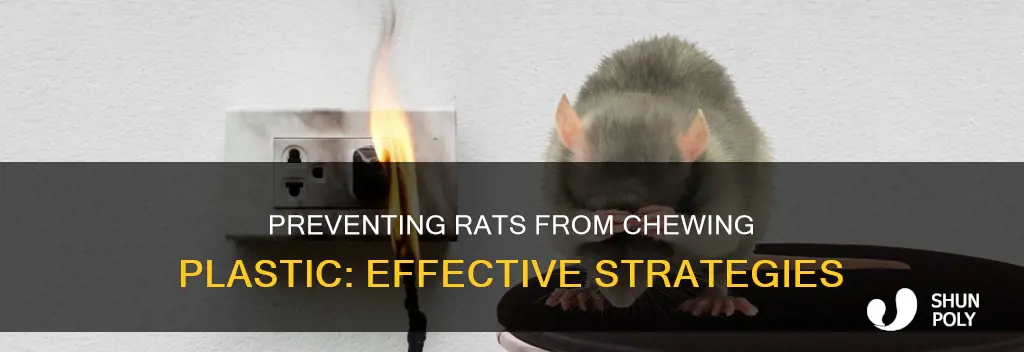 how to stop rats from chewing plastic
