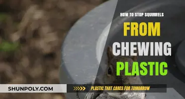 Preventing Squirrels from Chewing Plastic: Effective Strategies