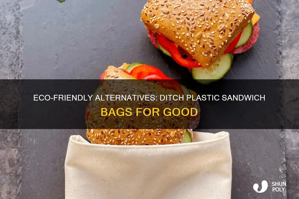 how to stop using plastic sandwich bags