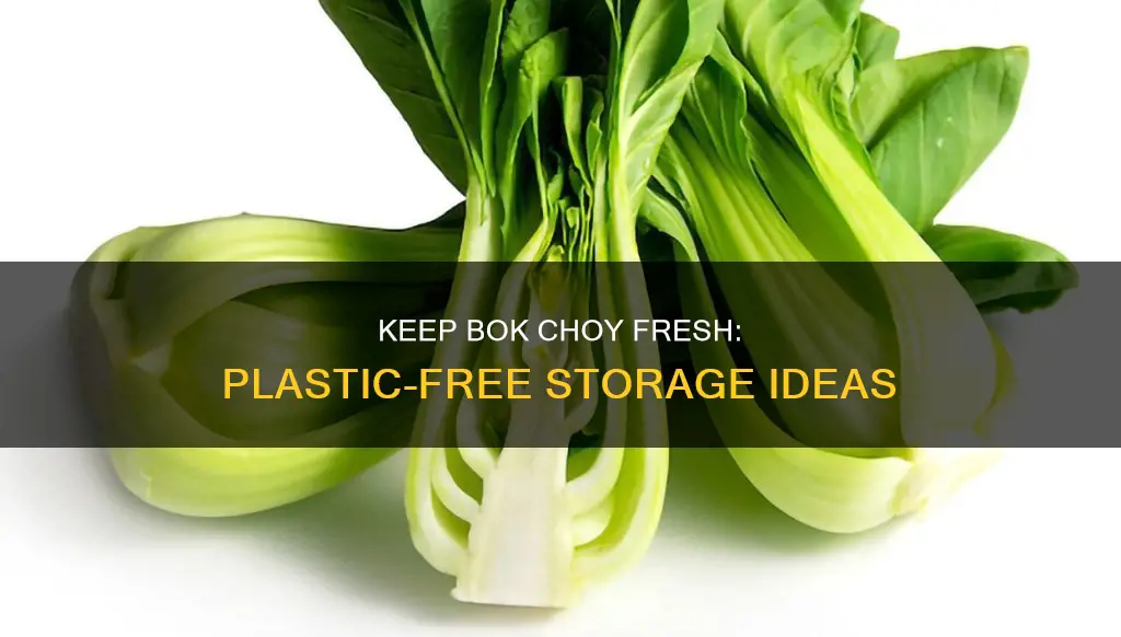 how to store bok choy without plastic