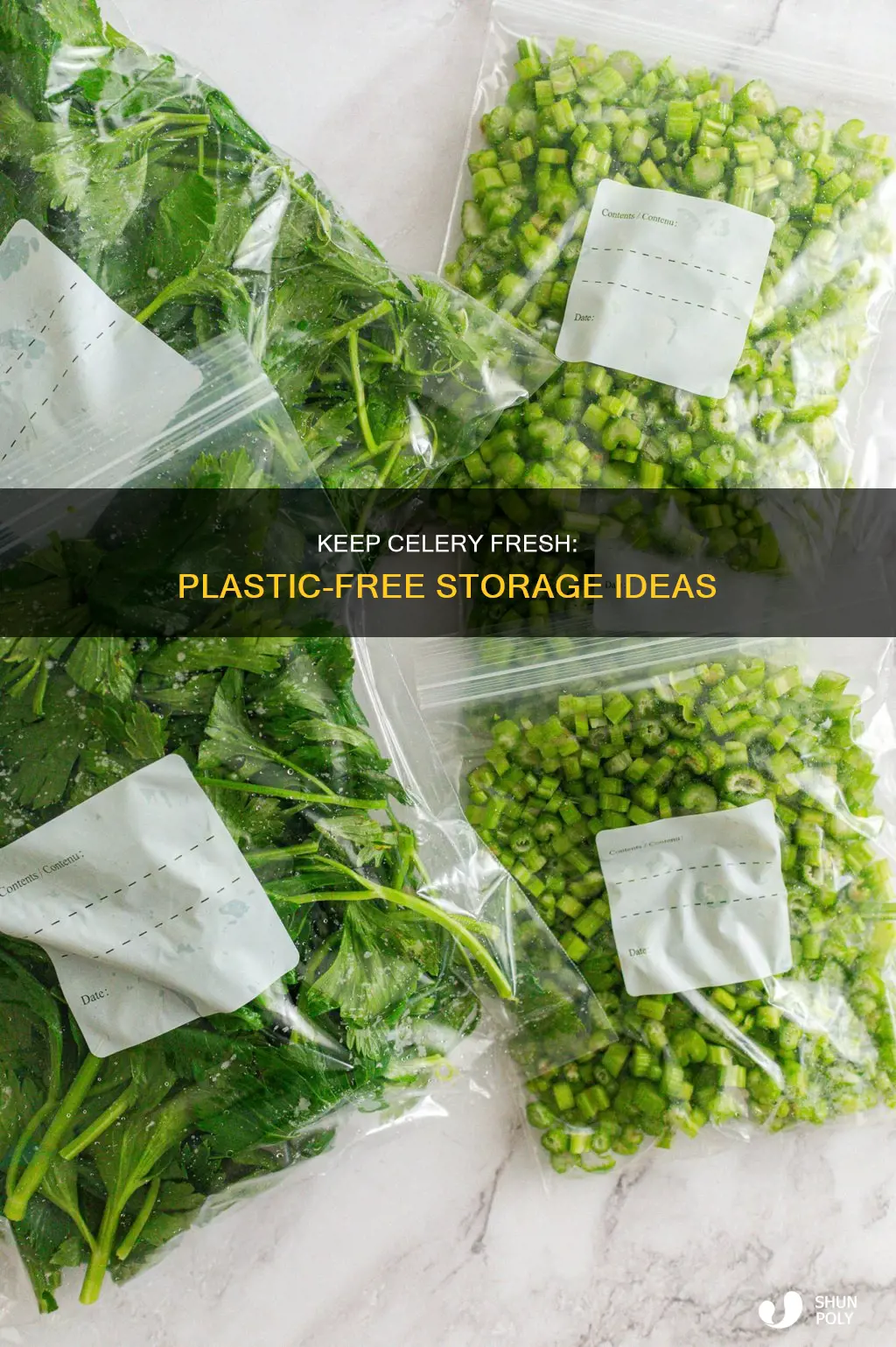 how to store celery without plastic