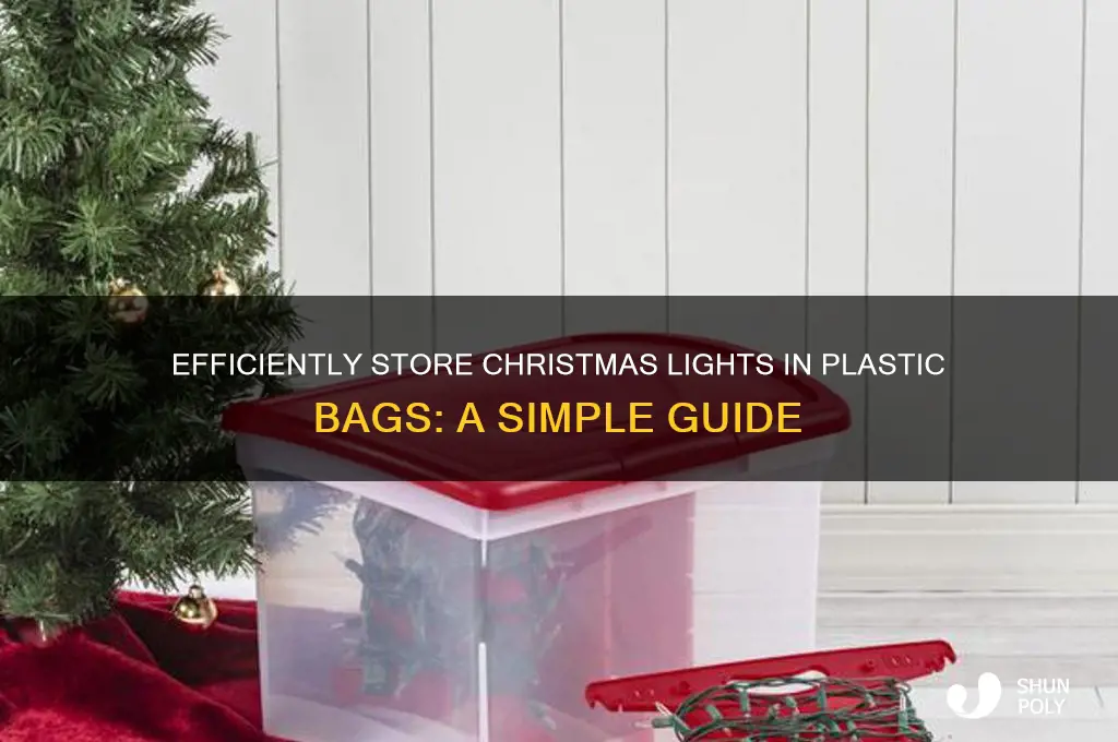 how to store christmas lights plastic bag