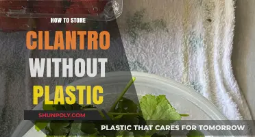 Keep Cilantro Fresh and Crisp Without Plastic