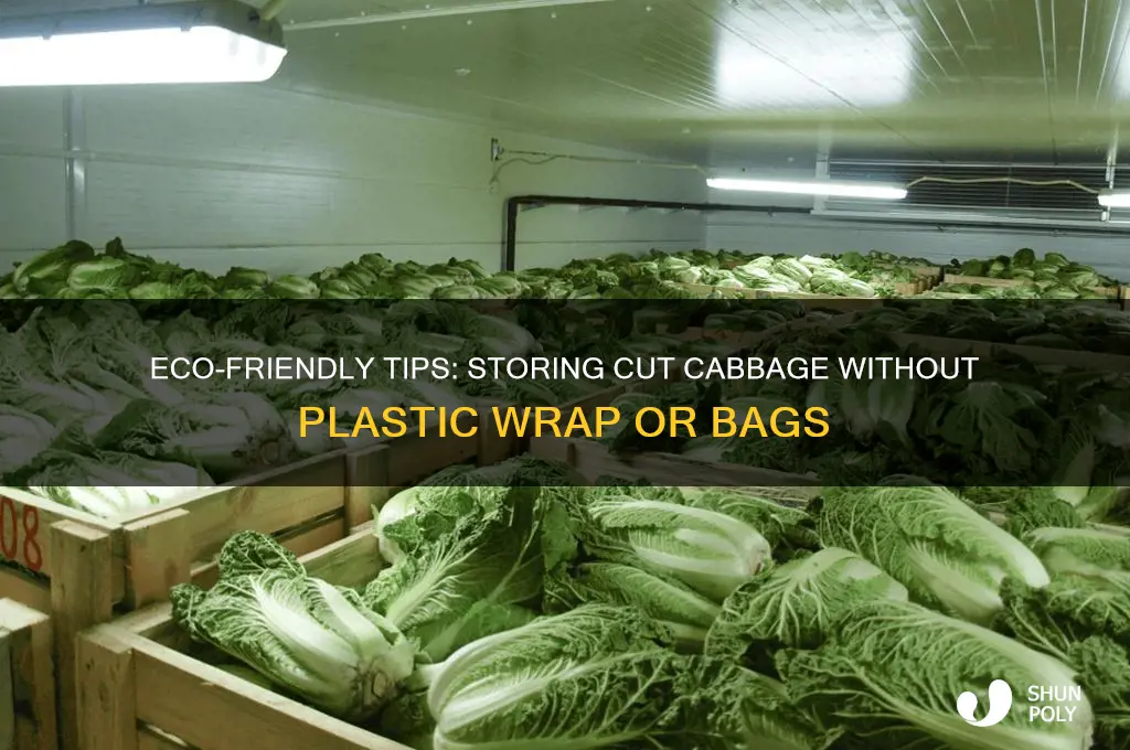 how to store cut cabbage without plastic