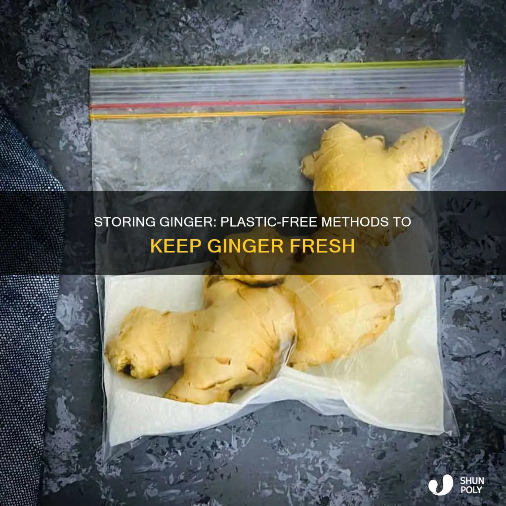 how to store ginger without plastic