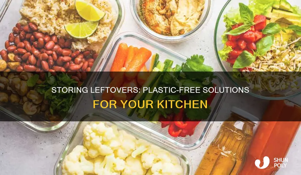 how to store leftovers without plastic