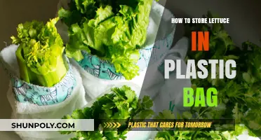 Properly Storing Lettuce in Plastic Bags for Longer Freshness
