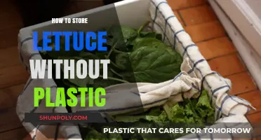 Storing Lettuce: Plastic-Free Hacks for Fresh Greens