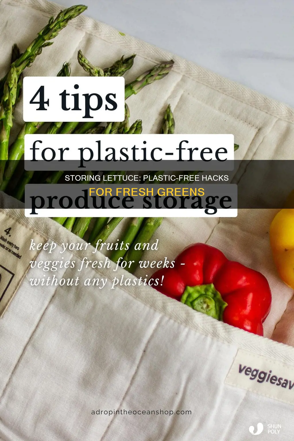 how to store lettuce without plastic