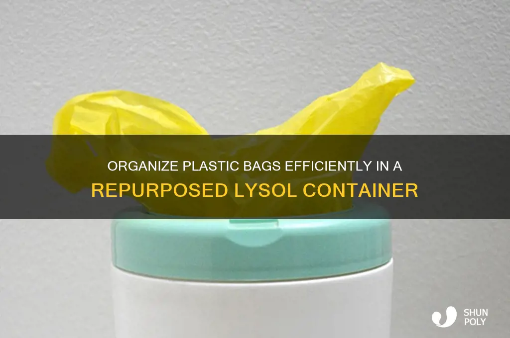 how to store plastic bags in a lysol container