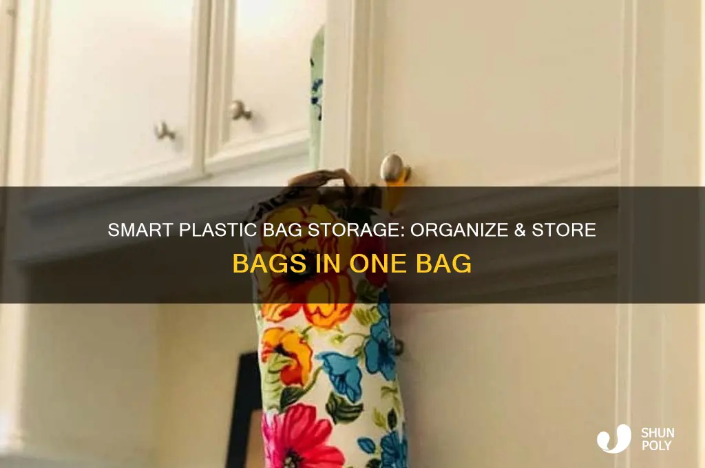 how to store plastic bags in another bag