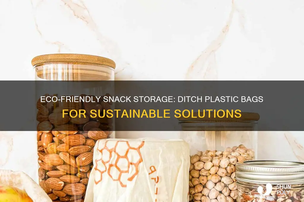 how to store snacks without plastic bags