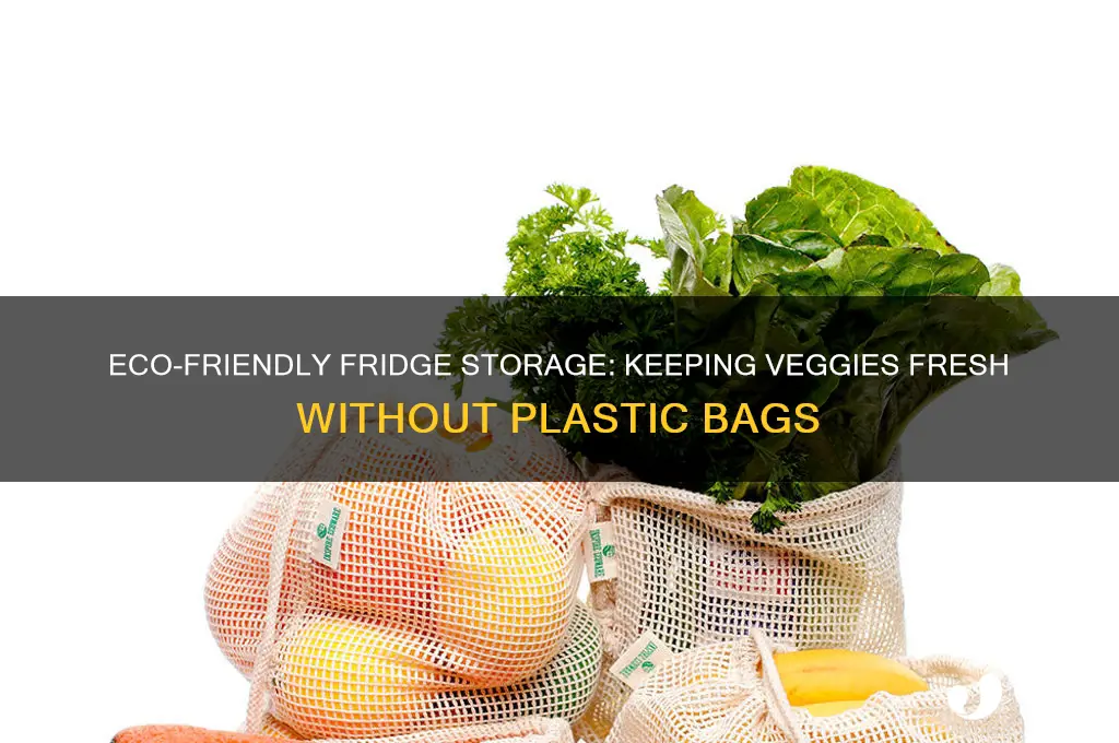 how to store vegetables in fridge without plastic bags
