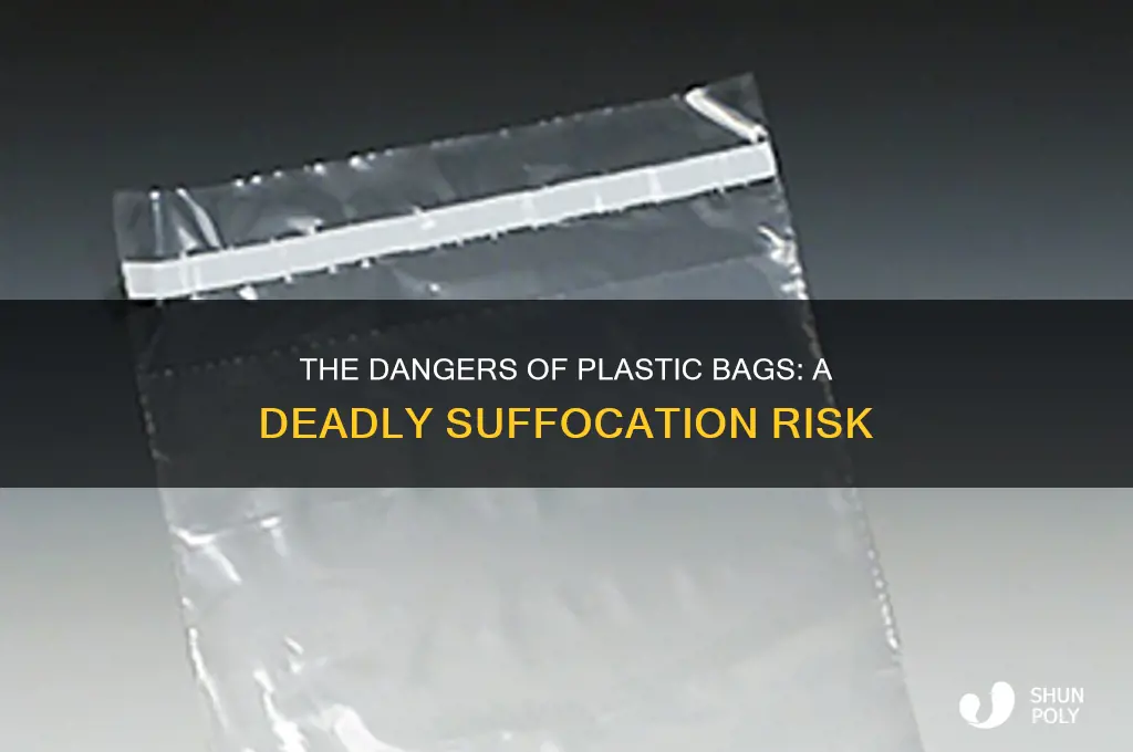 how to suffocate yourself with a plastic bag