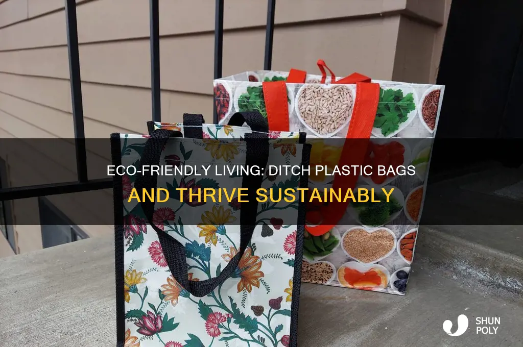 how to survive without plastic bags