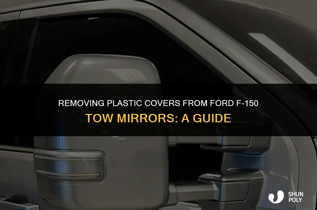 how to take plastic off of ford f-150 tow mirros