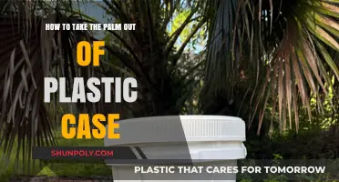 Easy Guide: Removing Palm from Plastic Case Without Damage