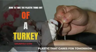 Debunking Myths: The Truth About Removing Plastic from Your Turkey