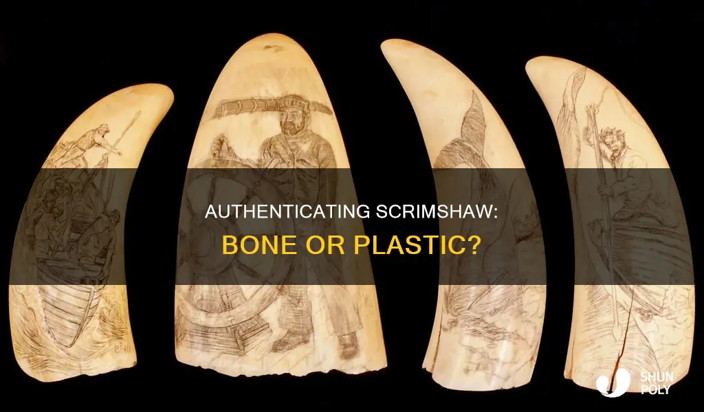how to tell bone from plastic scrimshaw