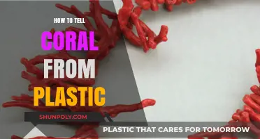 Real Coral or Plastic? Spot the Difference