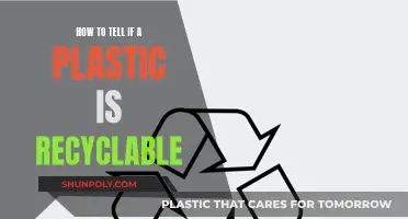 Identifying Recyclable Plastics: What You Need to Know