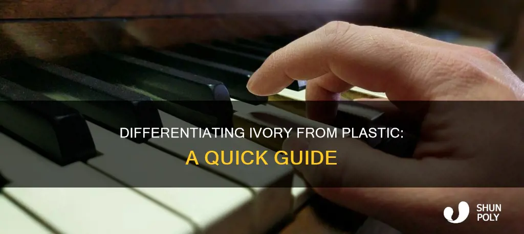 how to tell if ivory or plastic