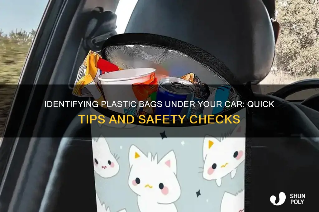 how to tell if plastic bag under car