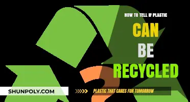 Decoding Recyclability: A Guide to Understanding Plastic Recycling Symbols