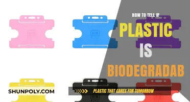 Identifying Biodegradable Plastics: What You Need to Know