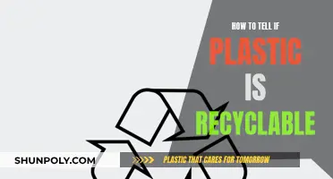 Identifying Recyclable Plastics: What You Need to Know