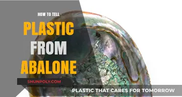 Differentiating Abalone Shells from Plastic: A Quick Guide