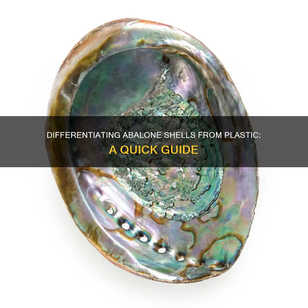 how to tell plastic from abalone
