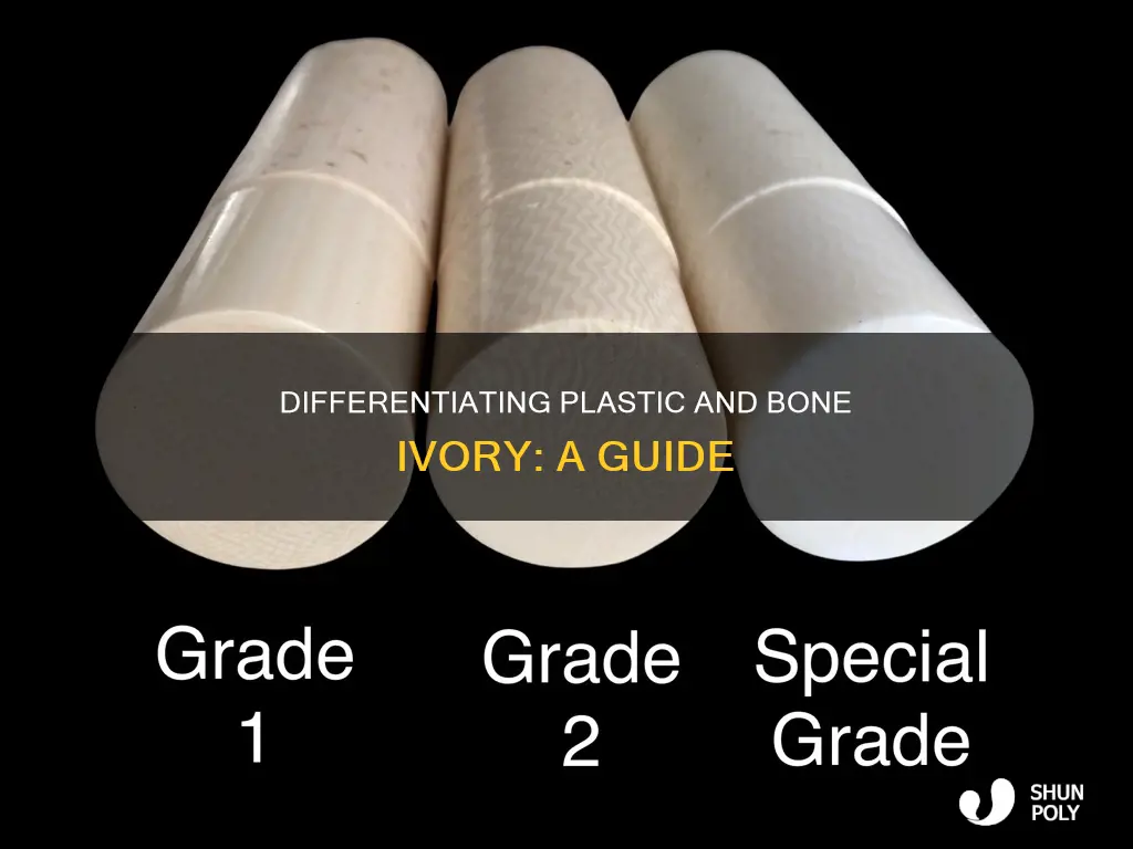 how to tell plastic from bone ivory