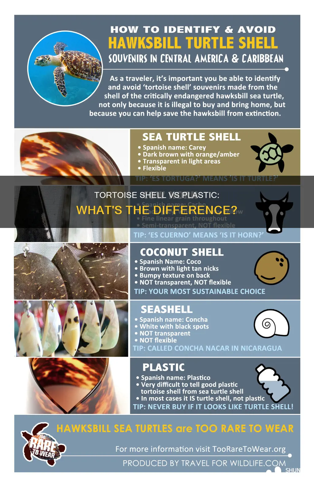 how to tell tortoise shell from plastic